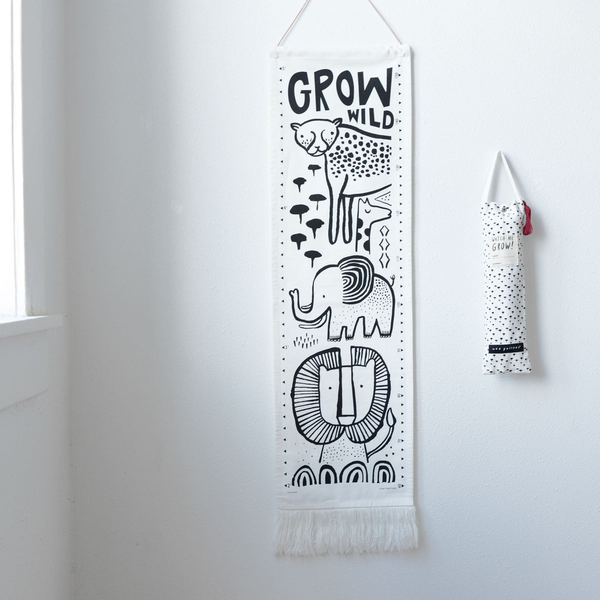 Canvas Growth Chart - Safari