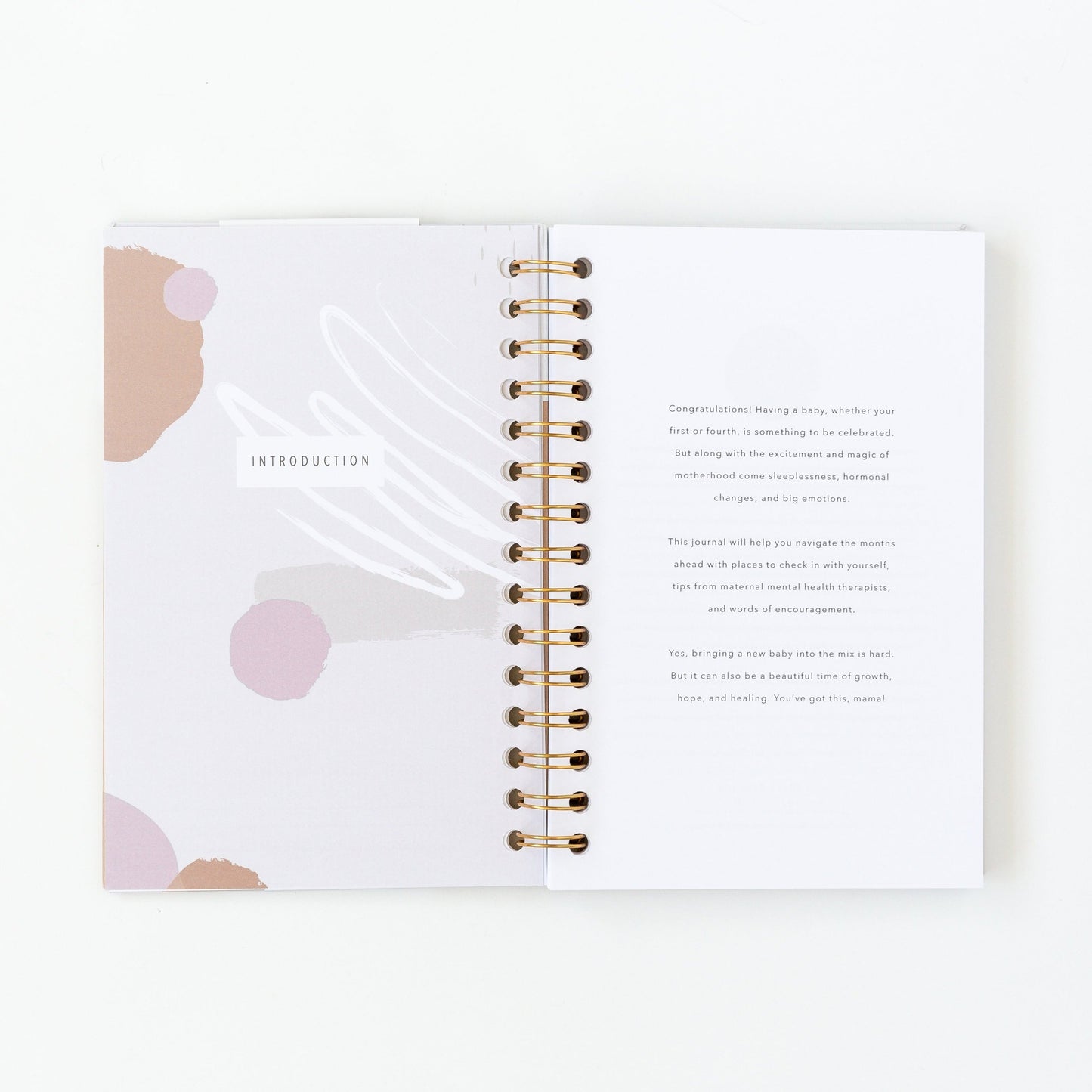 My Postpartum Journal: A Year of Self-Care (Cashew) by Promptly Journals