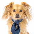 Pet Classic Necktie - Sumiye Co