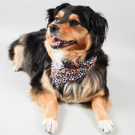 Pet Floral Bandana