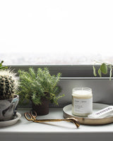 Fern + Moss Minimalist Candle by Brooklyn Candle Studio - Sumiye Co