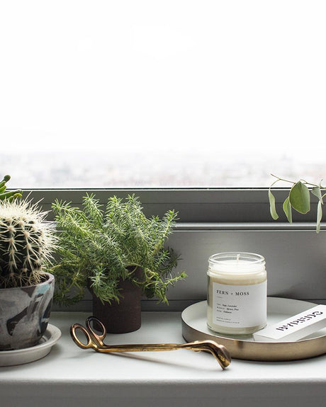 Fern + Moss Minimalist Candle by Brooklyn Candle Studio - Sumiye Co