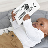 Art Cards for Baby - Safari Collection - Sumiye Co