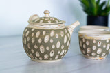 Japanese Green Tea Set - Teapot with Filters (370ml) Two Cups