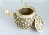 Japanese Green Tea Set - Teapot with Filters (370ml) Two Cups