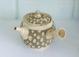 Japanese Green Tea Set - Teapot with Filters (370ml) Two Cups