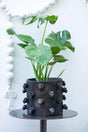 The Blackout Jaguar Spiked Planter - Sumiye Co