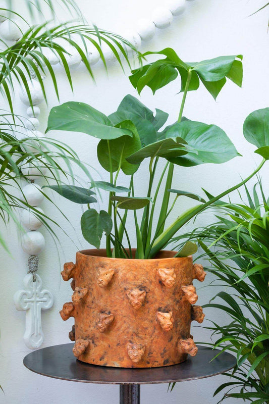 Jaguar Spiked Clay Planter | Smoked Brick by Wool+Clay