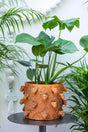 Jaguar Spiked Clay Planter - Smoked Brick - Sumiye Co