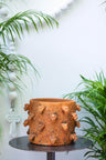 Jaguar Spiked Clay Planter | Smoked Brick by Wool+Clay