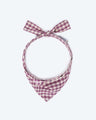 Pet Gingham Bandana