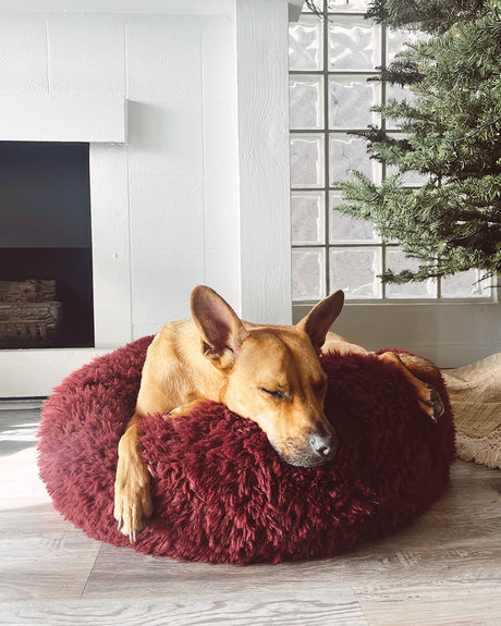 CAMA PARA PERROS MB POD