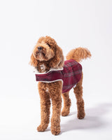 Pet Modern Classic Coat