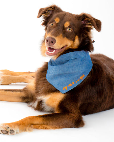 Pet Embroidered Bandana