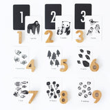 Nature Number Cards