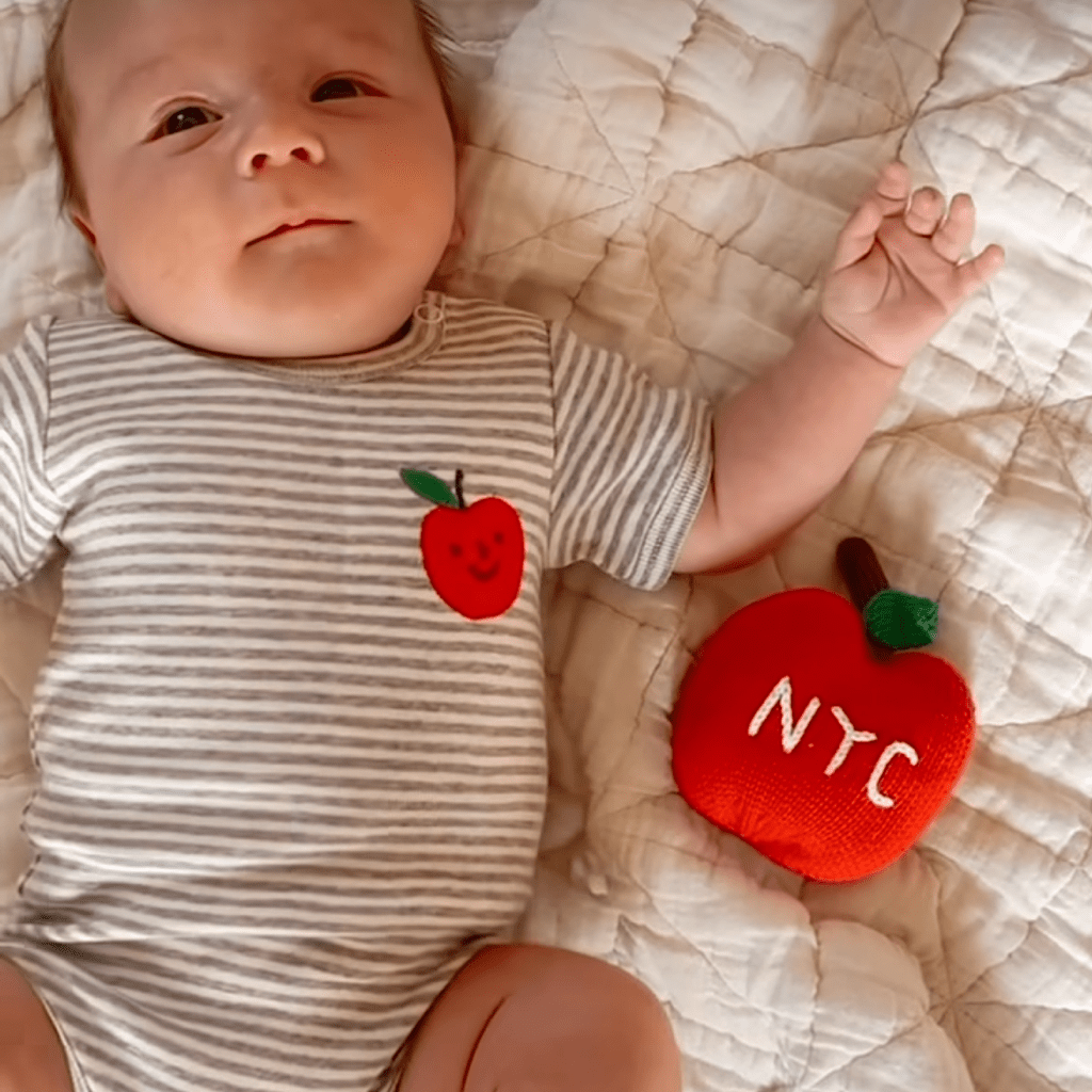 Organic Baby Toys - Newborn Rattles | NYC Apple by Estella - Sumiye Co