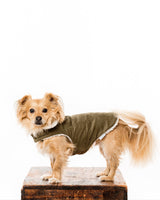 Pet Modern Classic Coat