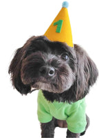 Pawty Hat - Green Number