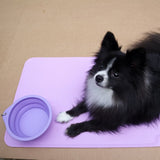 Pet Slow Feeding Set-3