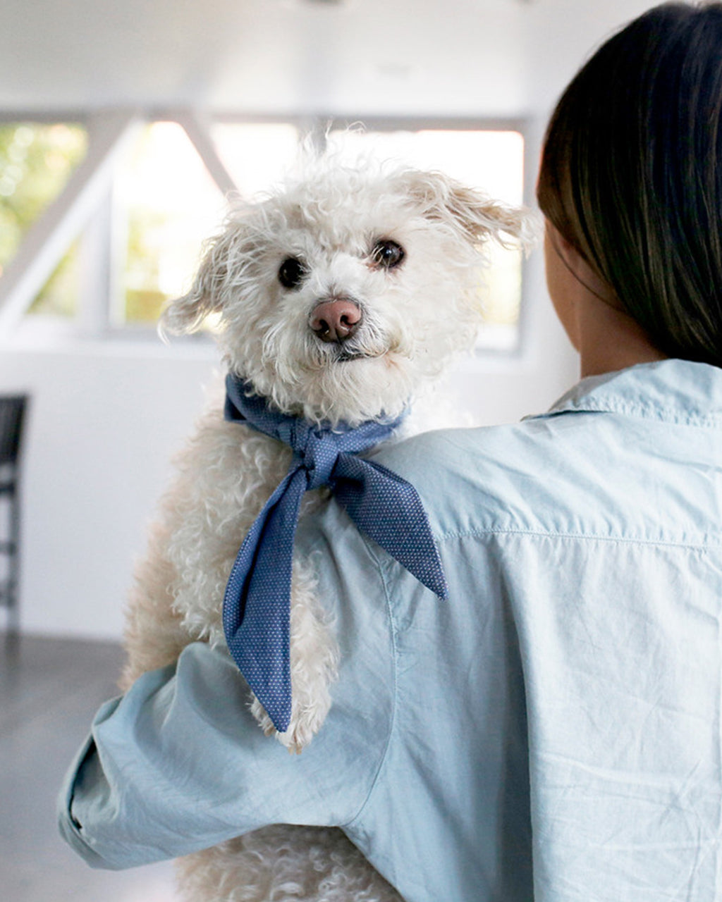 Pet Classic Necktie