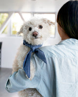 Pet Classic Necktie