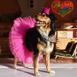 Pet Bright Party Crowns