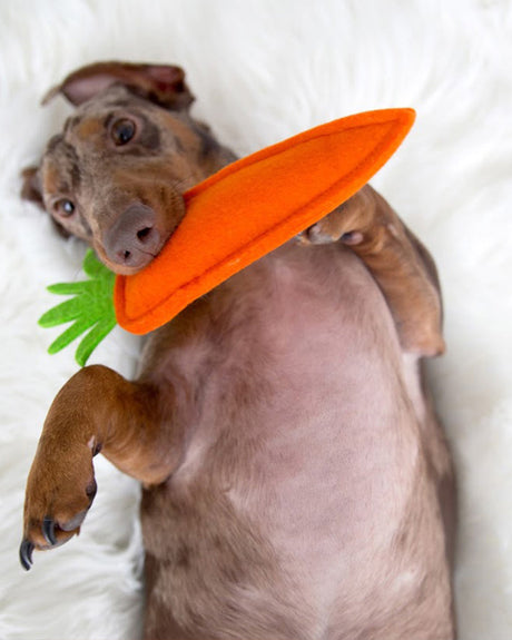 Puppy Carrot Toy