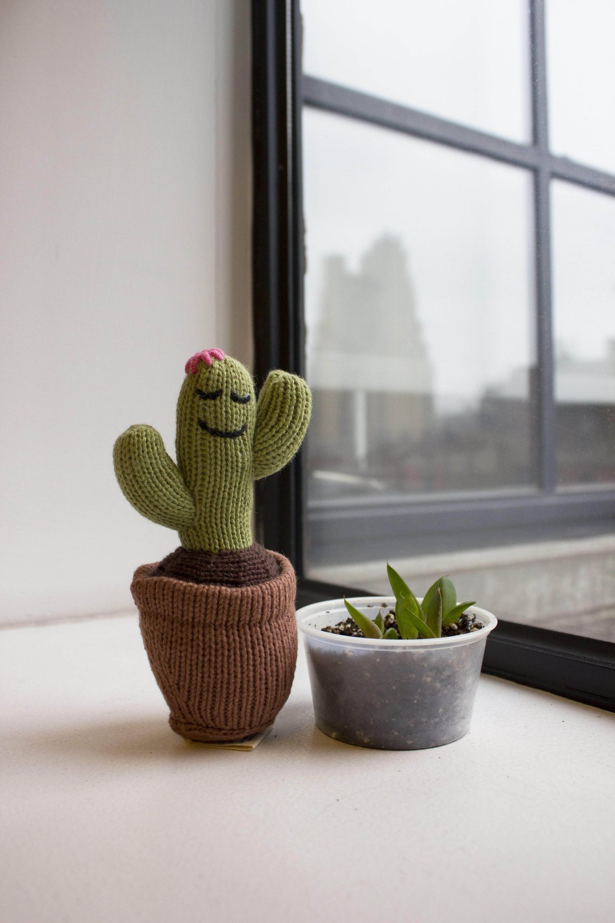 Organic Baby Toys - Newborn Rattles | Cactus by Estella - Sumiye Co