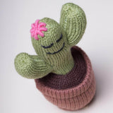 Organic Baby Toys - Newborn Rattles | Cactus by Estella - Sumiye Co