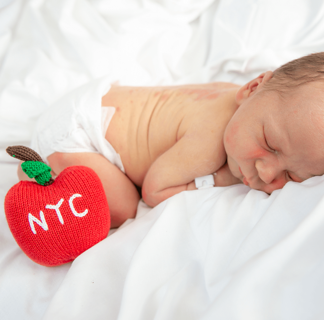 Organic Baby Toys - Newborn Rattles | NYC Apple by Estella - Sumiye Co