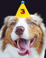 Pawty Hat - Purple Number