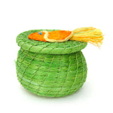 Kids Swimming Tiny Fish Lidded Basket - Sumiye Co