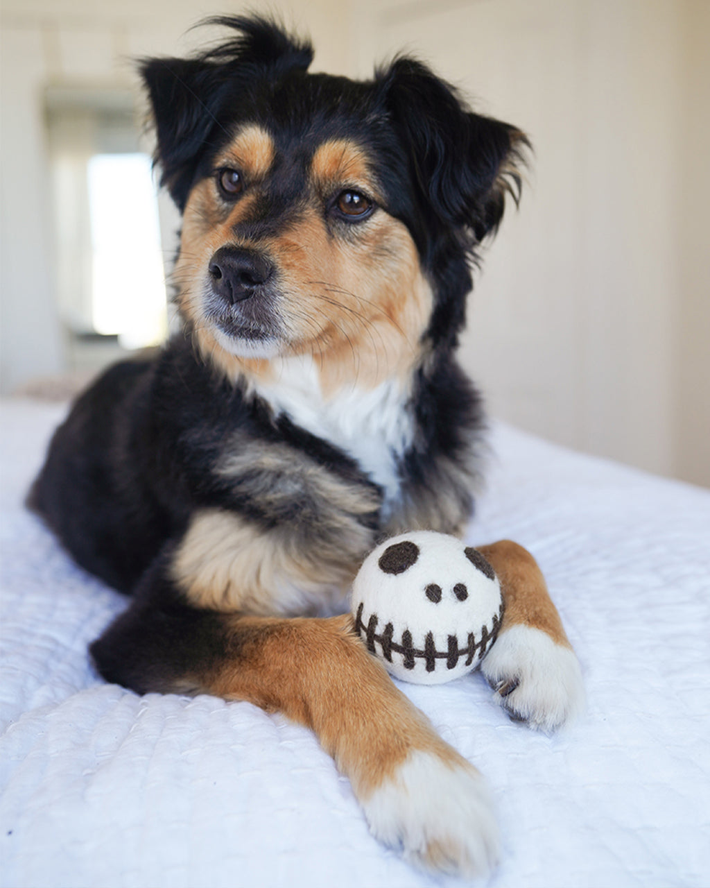 Pet  Skeleton Beast Ball