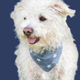 Pet Adventure Bandana - Sumiye Co