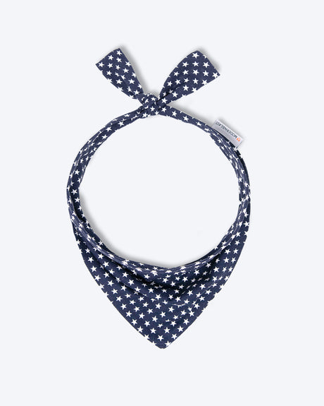 Pet Classic Bandana