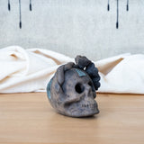 The Blue Intuition Skull - Sumiye Co