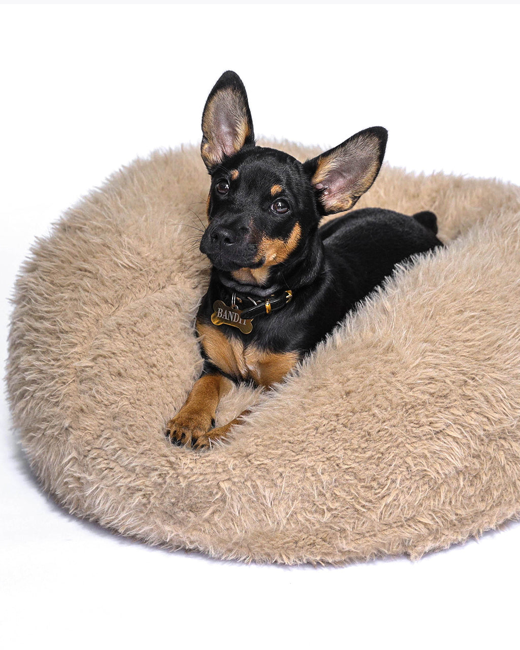 DOG BED MB POD