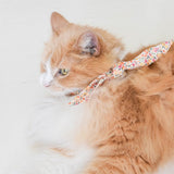 Pet Adventure Necktie - Sumiye Co