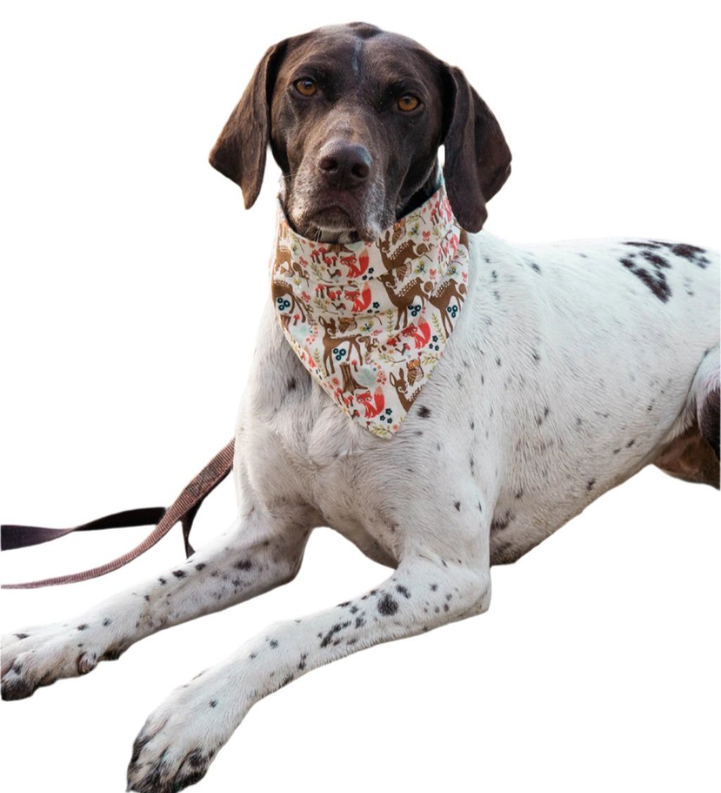 Pet Adventure Bandana - Sumiye Co