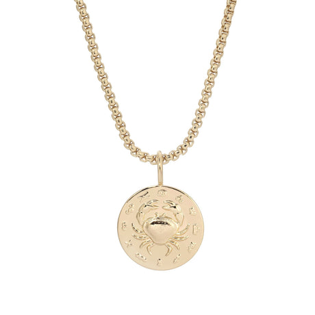 Zodiac Pendant & Thin Box Chain Necklace - Sumiye Co