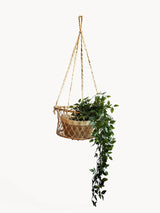 Jhuri Single Hanging Basket KORISSA