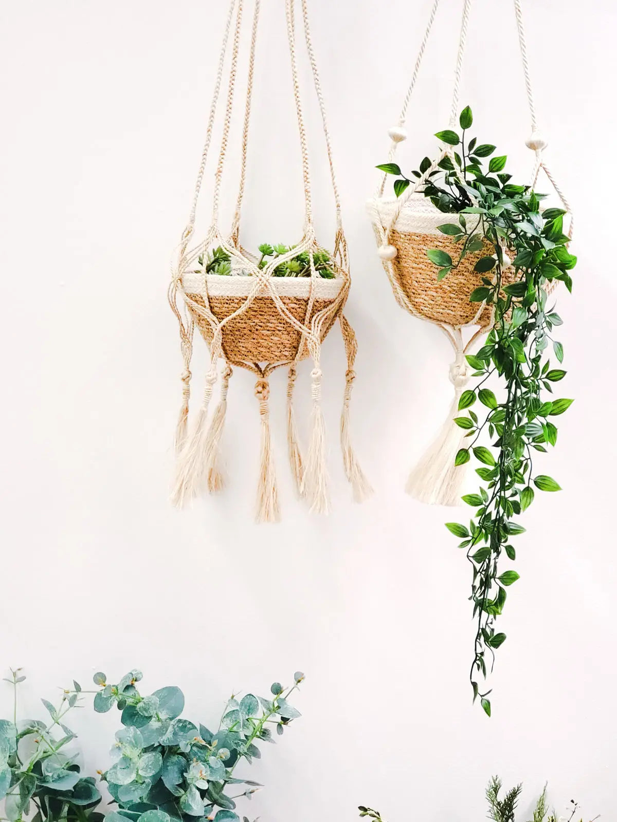 Plant Hanger - Bitan KORISSA