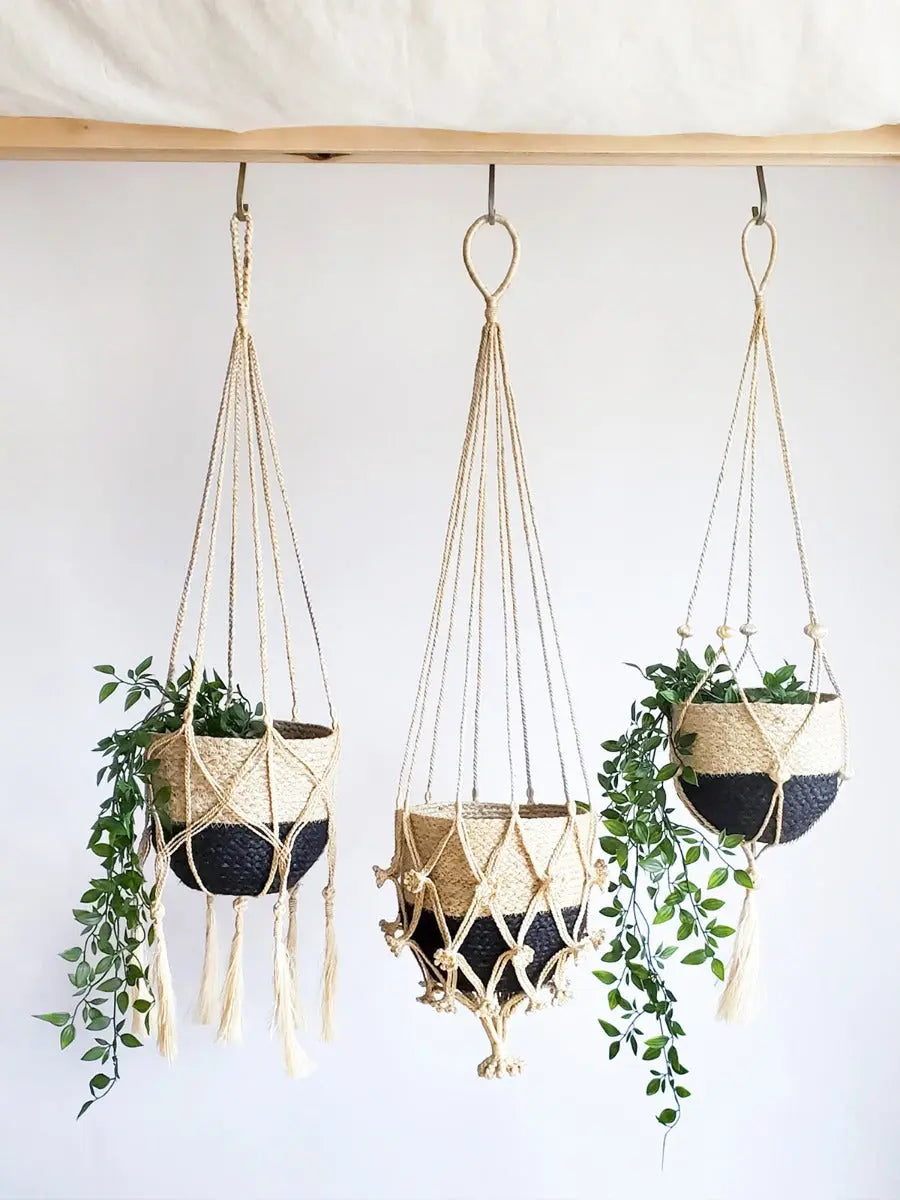 Plant Hanger - Bitan KORISSA