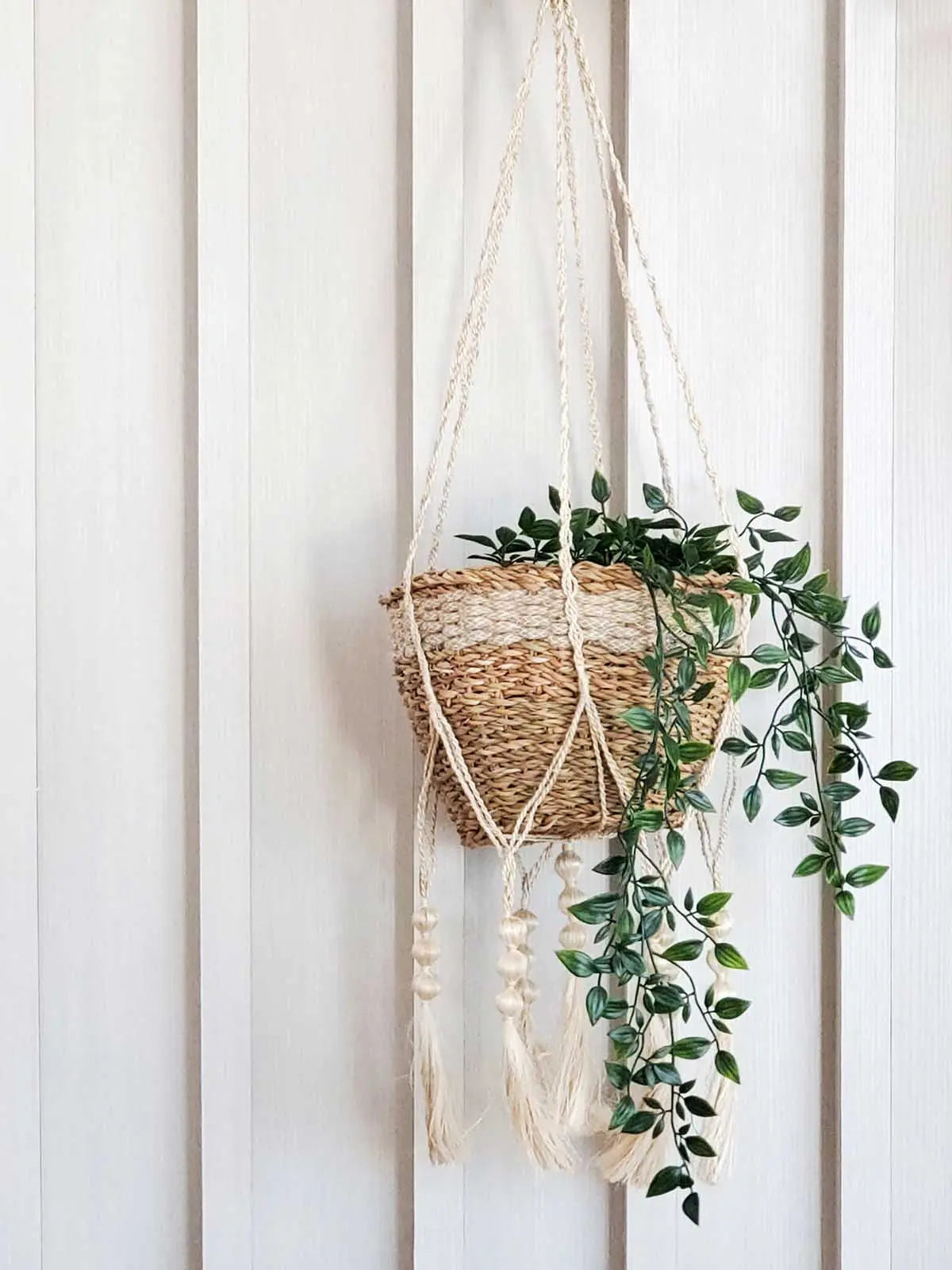 Plant Hanger - Fiora KORISSA