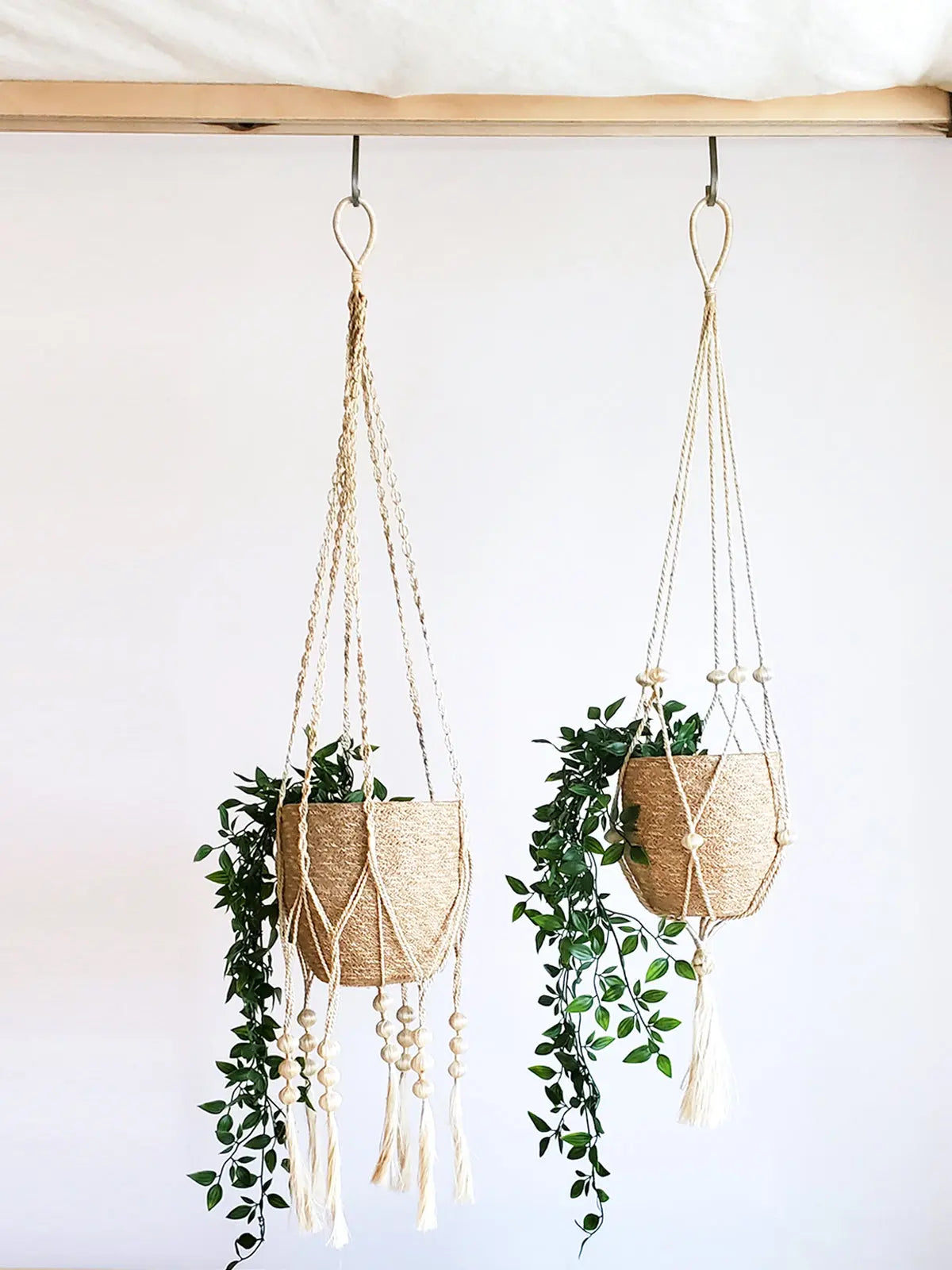 Plant Hanger - Fiora KORISSA