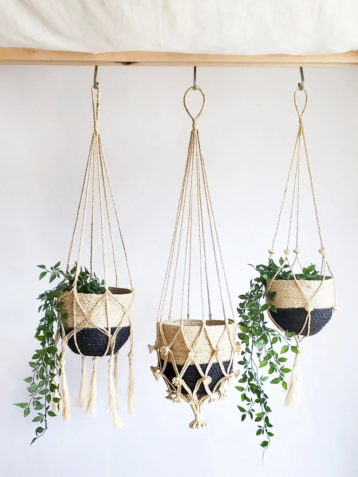 Plant Hanger - Shuly KORISSA