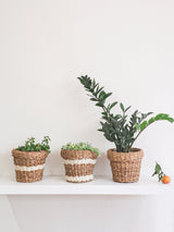 Nesting Plant Basket-1