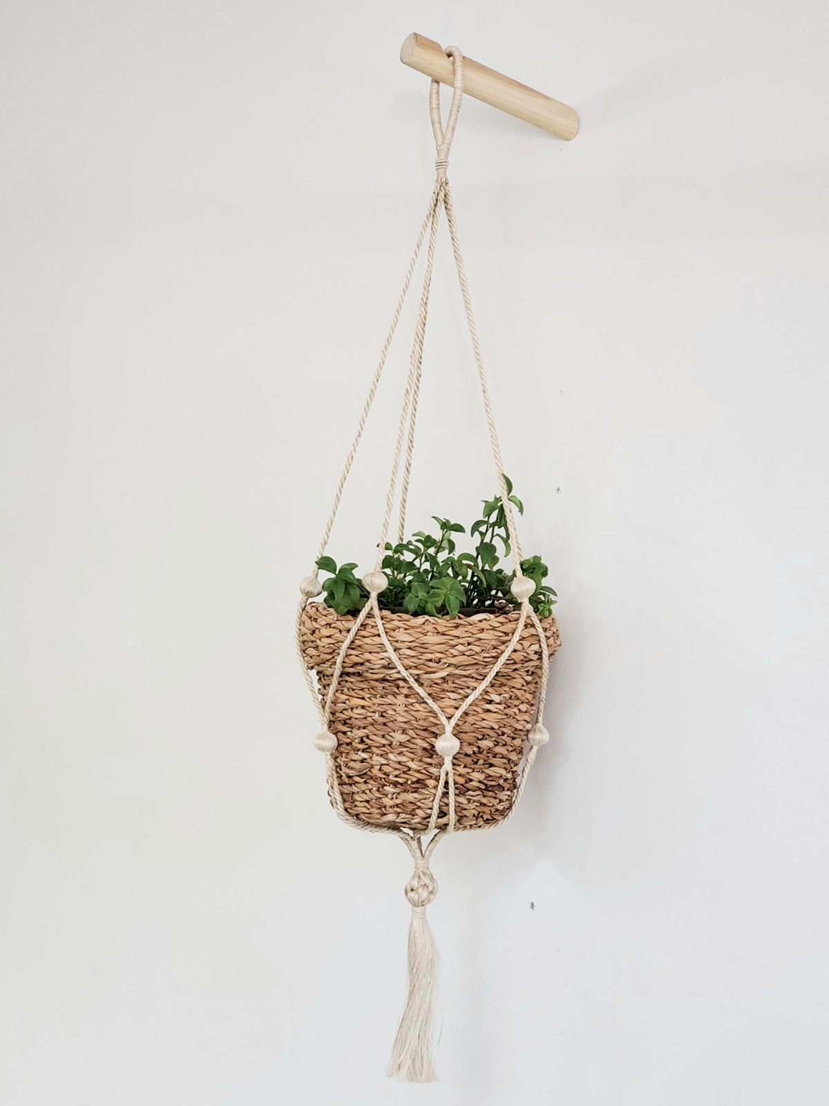 Nesting Plant Basket-6