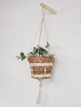 Nesting Plant Basket-2