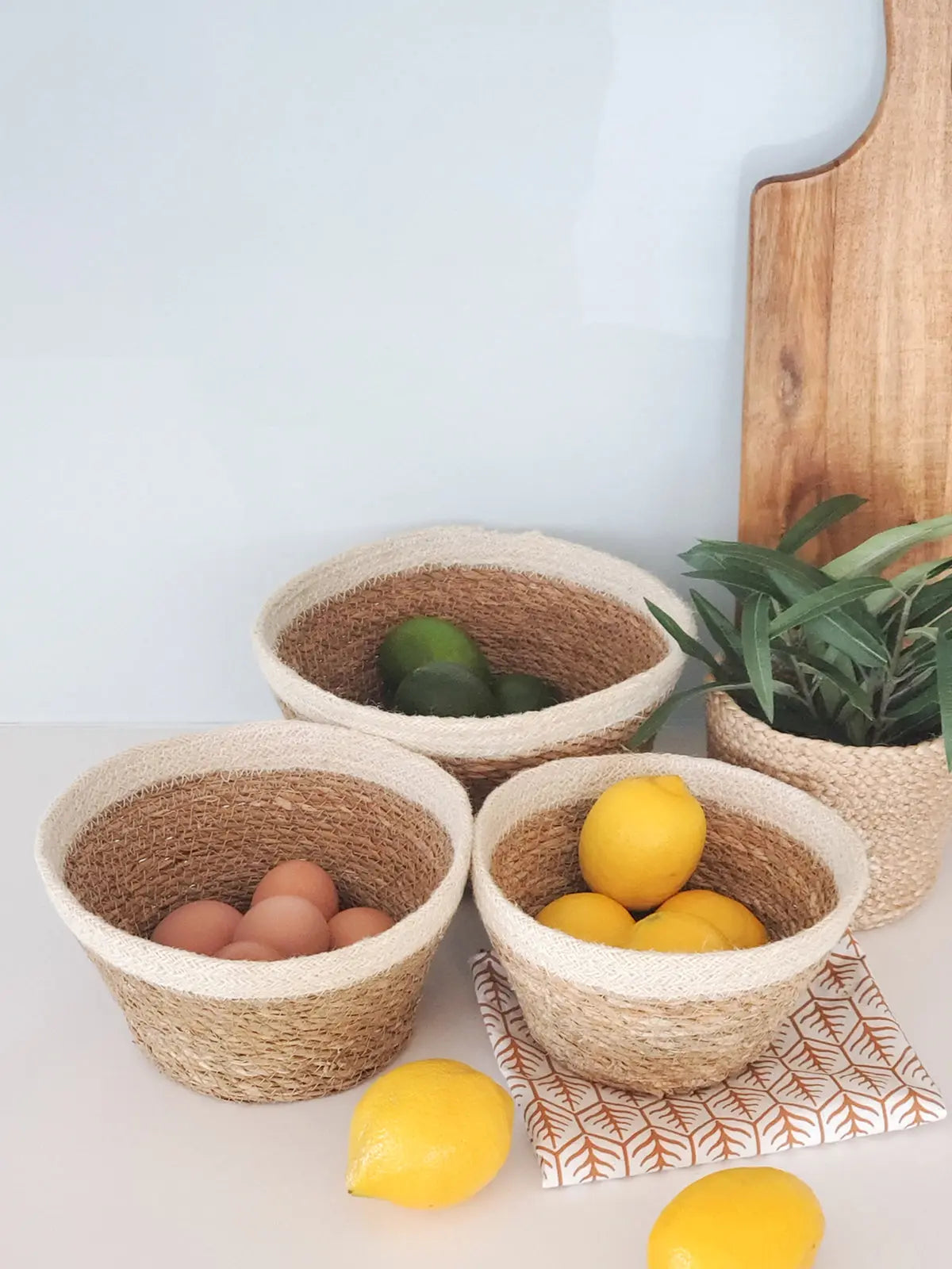 Savar Plant Bowl (Set of 3) | Seagrass & Jute KORISSA